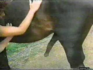 petite blonde colombian slut takes her turn with a horse cock