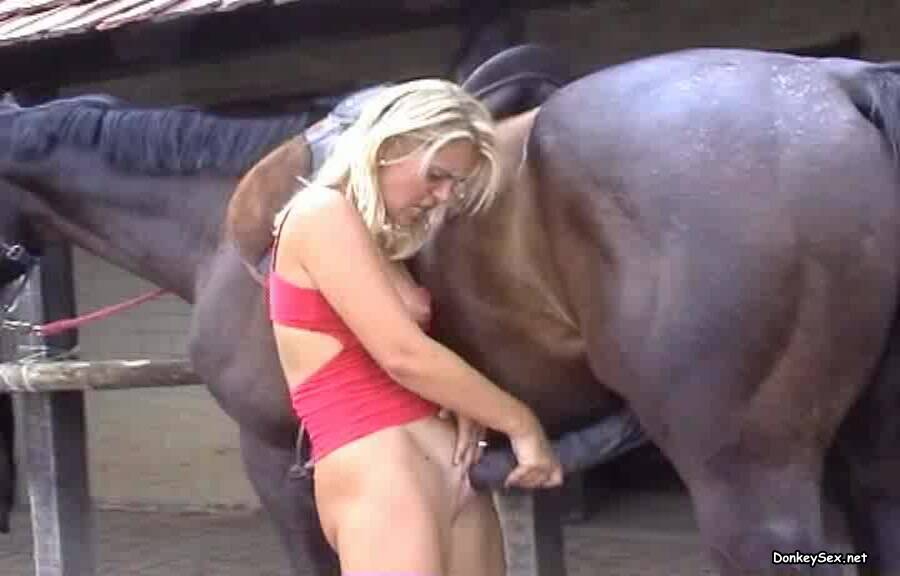 eighslut year old newcomer gets her pussy stretched with horse cock