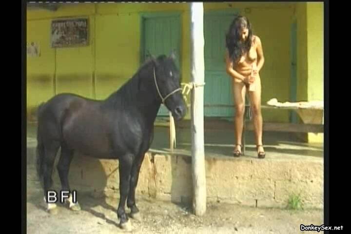 fabulous cock sucking skills displayed by brunette whore with her horse