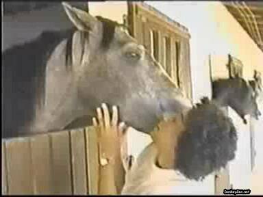 horny asian whore gets her body licked by a horse